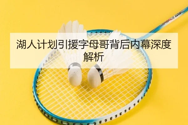 湖人计划引援字母哥背后内幕深度解析